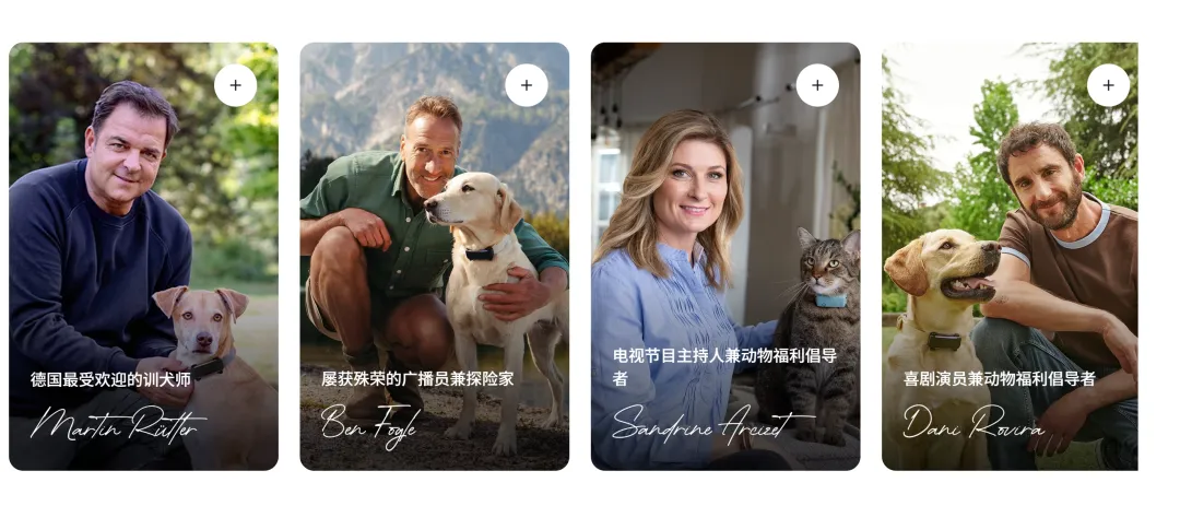 一个宠物项圈，一年躺赚10个亿！