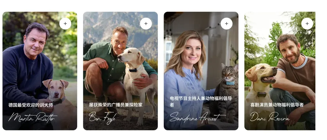 一个宠物项圈,一年躺赚10个亿!