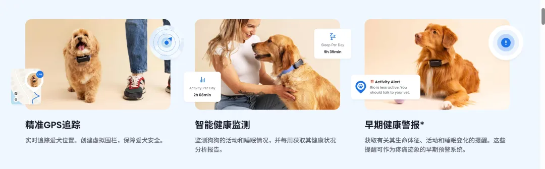 一个宠物项圈，一年躺赚10个亿！
