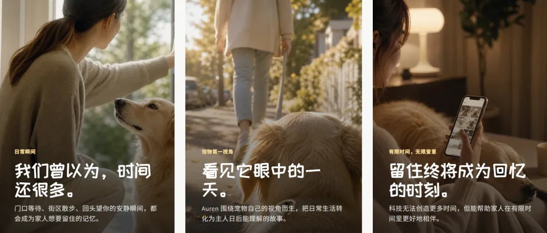 创业新风口,能读懂宠物的「AI穿戴硬件」| 方舟专访