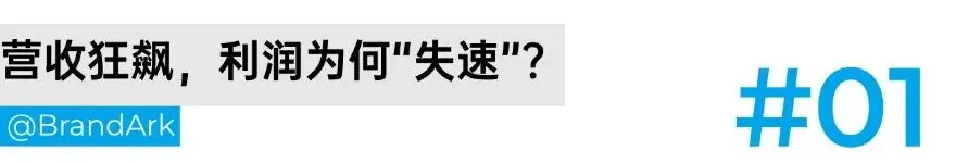 暴跌94%,影石半年只赚了3000万!