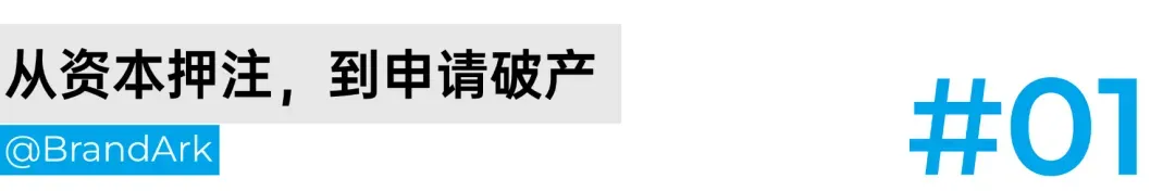 大佬投了几千万,亿级泳池机器人走向破产