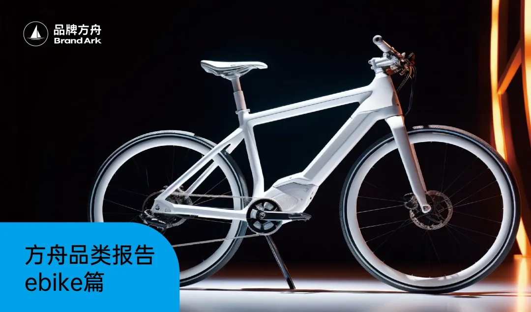 《2025方舟品类出海报告——E-bike篇》
