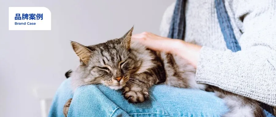 猫砂热卖上亿美金！宠物健康消费迎新风口