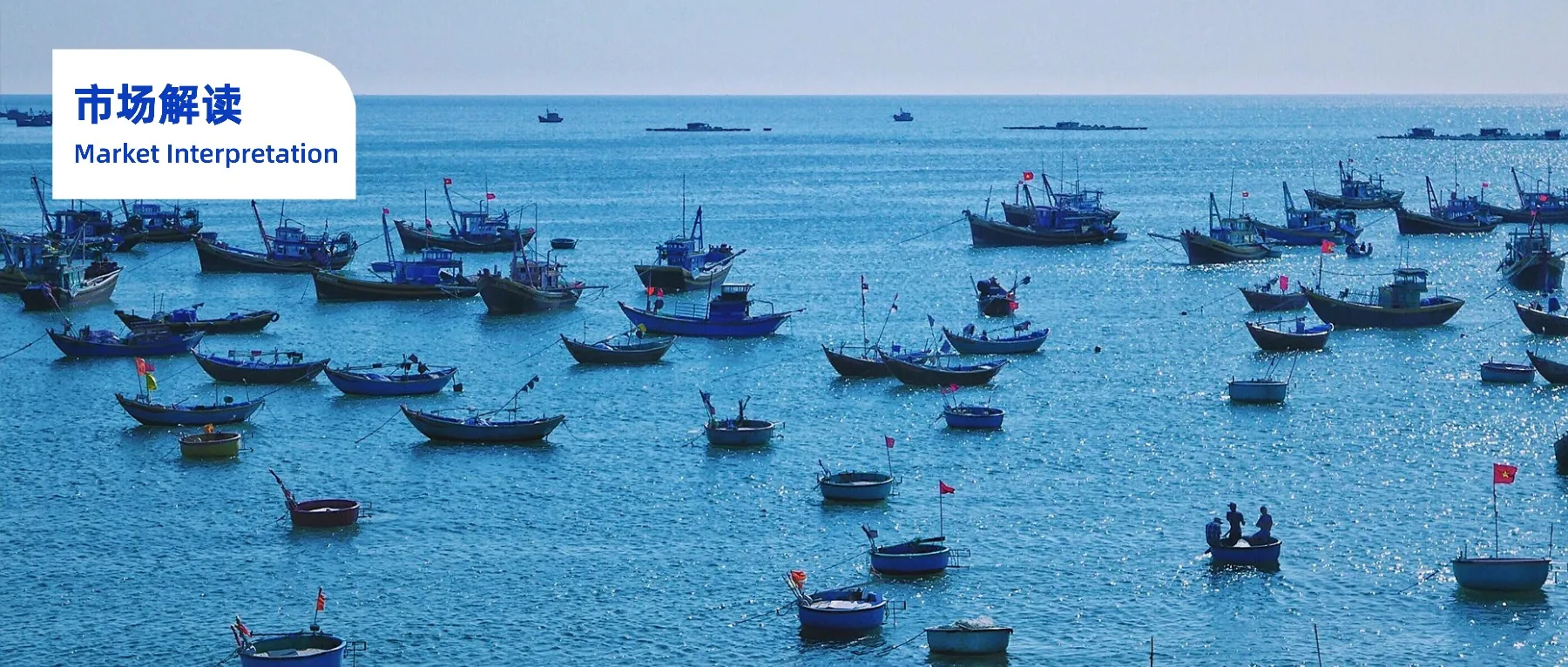 头部玩家抢先进场，中国品牌在澳洲闷声发财