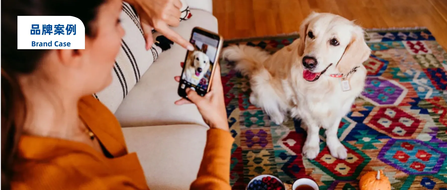 年入千万美金!它把宠物自拍做成大生意! 年入千万美金!它把宠物自拍做成大生意!